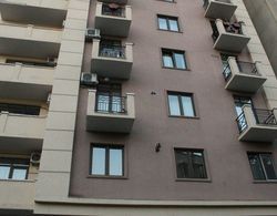 Apartment on Kuchishvili Str. Dış Mekan