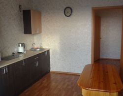 Apartment on Michurinskaya 110 Mutfak