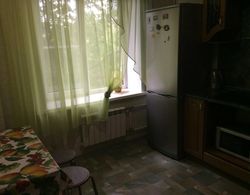Apartment on Sovetskaya 164 Mutfak