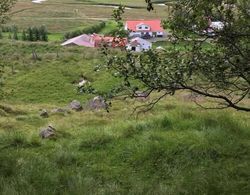 Öndólfsstaðir Farm B&B Dış Mekan