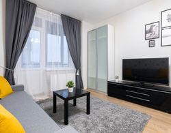 One Bedroom Great View Apartment near Gazprom Arena, UEFA 2022 İç Mekan
