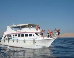 Oonas Dive Club Genel