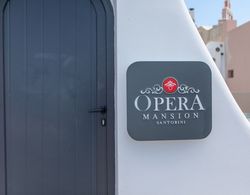 Opera Mansion Dış Mekan