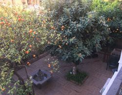 Orange Garden Dış Mekan