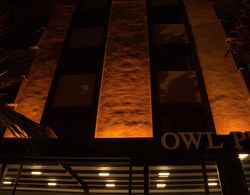 Orange Owl Hotel Dış Mekan