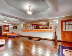 Orangewood Inn & Suites Midtown Genel