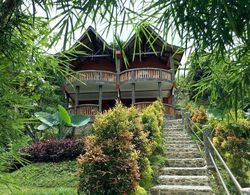 Hotel Orangutan Öne Çıkan Resim