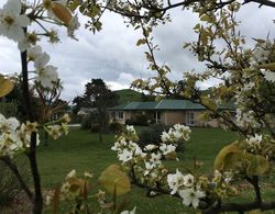 Orchard View FarmStay Retreat Öne Çıkan Resim