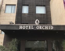 Hotel Orchid Dış Mekan