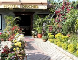 Hotel Orchid Dış Mekan