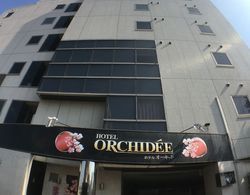Hotel Orchidee - Adult Only Dış Mekan