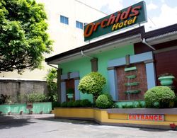 Orchids Drive Inn Hotel and Restaurant Öne Çıkan Resim