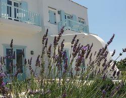 Orion Naxos Hotel Dış Mekan