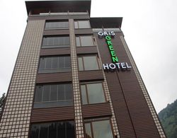 Oris Green Hotel Genel