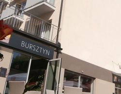 Osrodek Wczasowy Bursztyn Dış Mekan