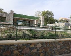 Ouzo Stone Villa 1 Dış Mekan