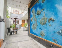 Hotel Palace Galapagos Dış Mekan