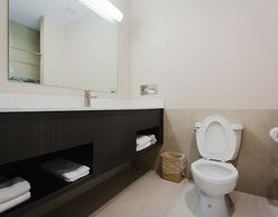 Palace Inn and Suites - Willowbrook Mall Banyo Tipleri