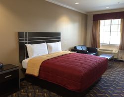 Palace Inn Kingwood Oda Manzaraları