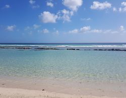 Palm Beach Condo 202  - A Vacation Rental by Bougainvillea Barbados Oda Manzaraları