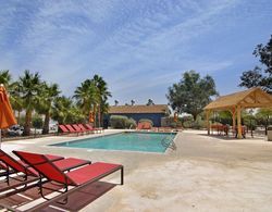 Palm Canyon Hotel & RV Resort Genel