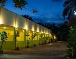 Palm Garden Resort Dış Mekan
