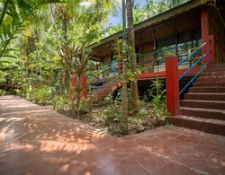 Palm Grove Eco Resort Dış Mekan
