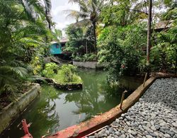 Palm Grove Eco Resort Dış Mekan