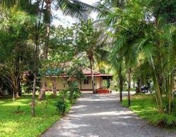 Palm Grove Service Villa Öne Çıkan Resim