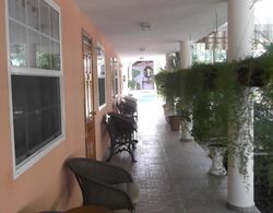 Palm Inn Hotel Dış Mekan