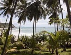Palm Paradise Cabanas & Villas Beach Resort Tangalle Genel