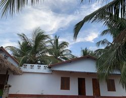 Palm view inn-Nilaveli Dış Mekan