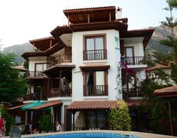 Palmiye Apart Otel Genel