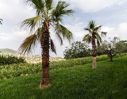 Panariello Palace Dış Mekan