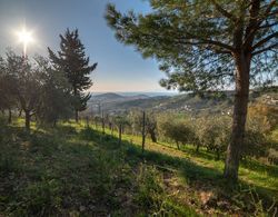 Villa Pandora Öne Çıkan Resim