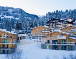 Panorama Lodge Schladming Dış Mekan