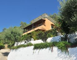 Apartments Papadatos - Pelekas Beach, Corfu Dış Mekan