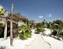 Papaya Playa Project Genel