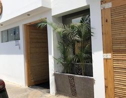 Paracas Guest House Dış Mekan