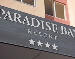 Paradise Bay Genel