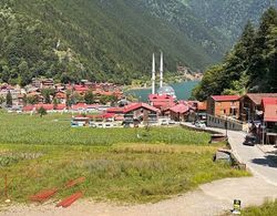 Paradise Lake Hotel Oda Manzaraları