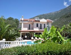 Villa Paradise Genel