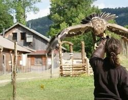 Parc Animalier du Hérisson - Insolite Dış Mekan