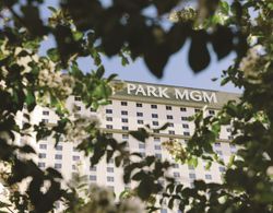 Park MGM Las Vegas Genel