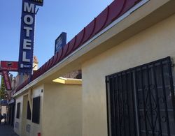 Park Motel Dış Mekan