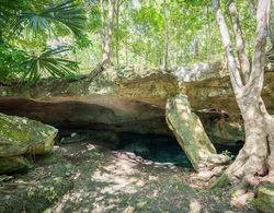 Villa Parota 2BR Nature Views - Attha Cenote Dış Mekan