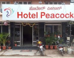 Hotel Peacock Dış Mekan