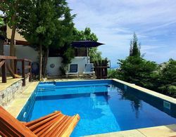 Pelion Homes Villa Thalia Private Pool 3 Rooms Oda
