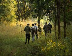 Pench Jungle Camp Genel