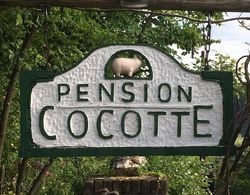 Pension Cocotte Dış Mekan